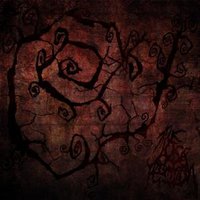 Chronique THE AXIS OF PERDITION - Tenements (Of the Anointed Flesh)